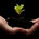 haneygroup profile picture