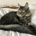 RetiredAndLovingLife profile picture