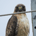 mdfuller_OR profile picture