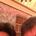 ttraver profile picture