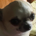 boo 1 profile picture