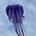 smadadet profile picture