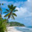 Pacific Orient profile picture