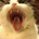 BillySnake profile picture