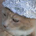 locutus49 profile picture