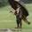 steve1948 profile picture