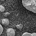 autofocus111 profile picture