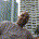 Aleksandar Knezevic profile picture
