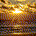 919_Investor profile picture