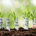 AssetFlower profile picture