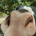 BaitBoy profile picture