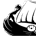 Viking Raider profile picture