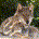 waltertcochran profile picture