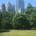 Atlanta investor profile picture