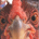 7r4v profile picture