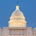 The Capitolist profile picture