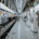 linklinklink profile picture
