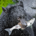 TheDabbler profile picture