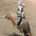 Texasstockman1 profile picture
