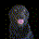 DT Now profile picture
