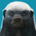 frackedup profile picture
