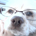 wiuser profile picture
