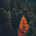 Upslope Capital Management profile picture