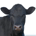 mayao floydmany profile picture