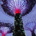 Ezyguy profile picture