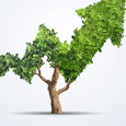 Analytical Investor
