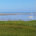 Low Tide Investments profile picture