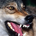 kenpa69 profile picture