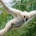 kkvakk profile picture