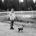 mlunacargochernoff profile picture