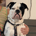 slashinvestor profile picture