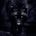 Wolfstar profile picture