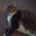 SufferrinSuccotash profile picture