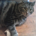 Art Eichler profile picture