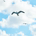 Wind25 profile picture