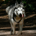 Apkiv4 profile picture