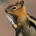 John_III_XVI profile picture