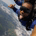 SoloDolo92 profile picture