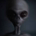 Hallvar Sande profile picture
