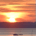 Sunrise Analysis profile picture
