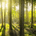 Three Wood Capital profile picture