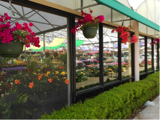 Calloway's Nursery: Under The Radar And Trading Below Liquidation Value