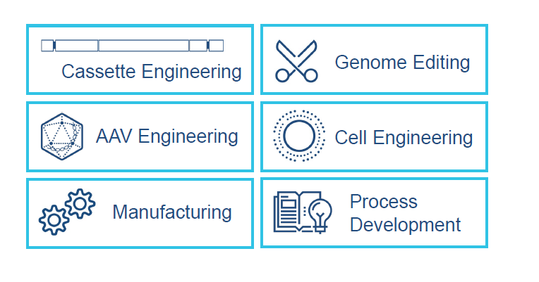 Sangamo Good Companies Get Bought Not Sold Nasdaq Sgmo Seeking Alpha