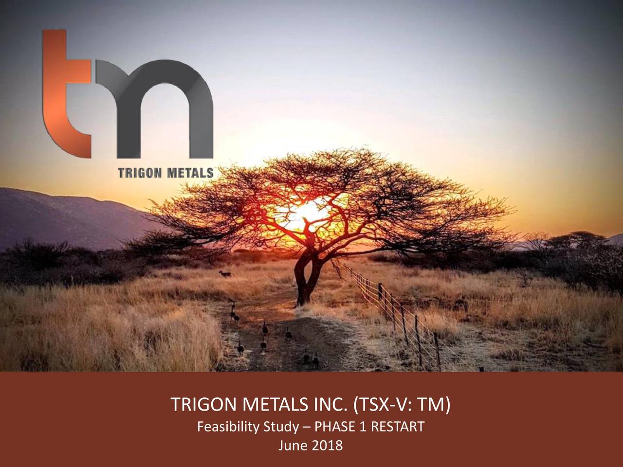 Trigon Metals (PNTZF) Updates On Feasibility Study On The Kombat