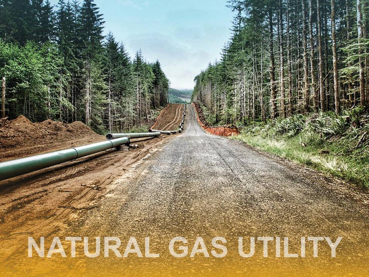 Northwest Natural Gas (NWN) Presents At American Gas Association
