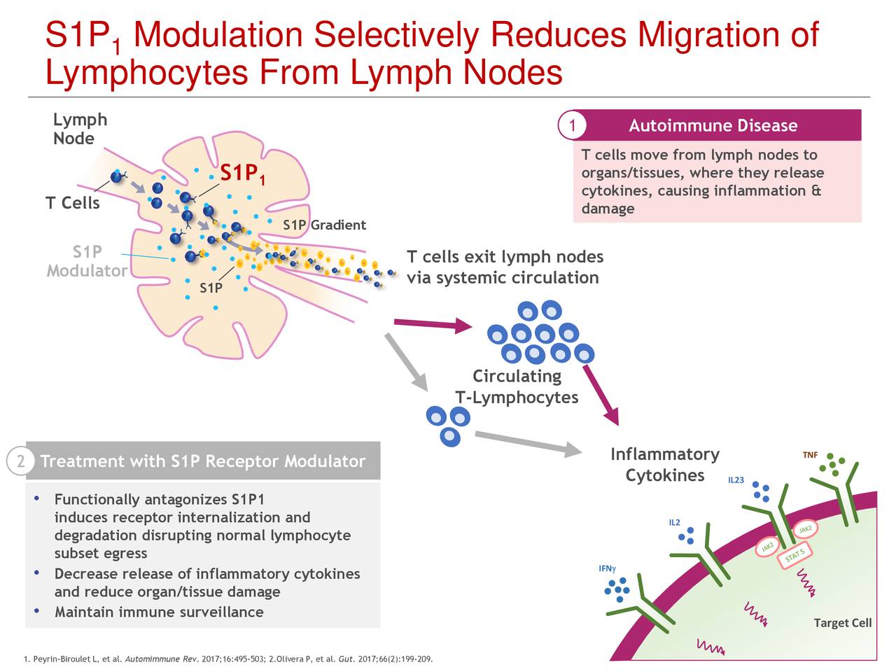 Arena Pharmaceuticals (arna) Key Opinion Leader Event On S1p Modulation 